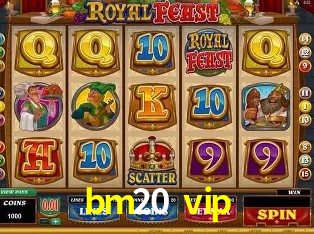 bm20 vip